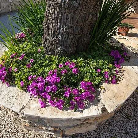 Nyaraló House Fasana